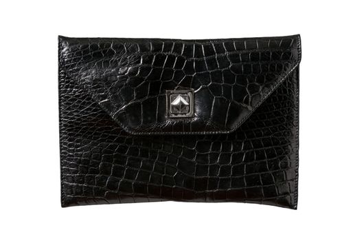 Exotic back leather alligator bag for Pad, hide, skin