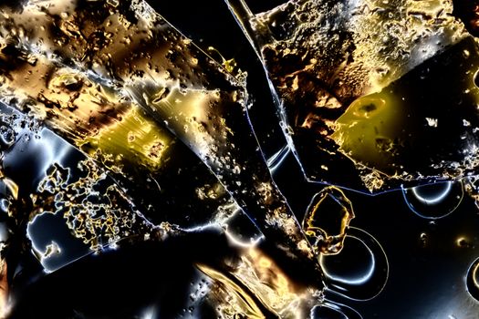 Light Graphics: Microphoto of translucent structures