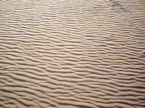 Waves of sand in the Mojave Desert