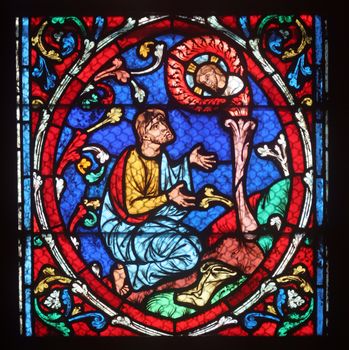 Colorful stained glass window in Cathedral Notre Dame de Paris