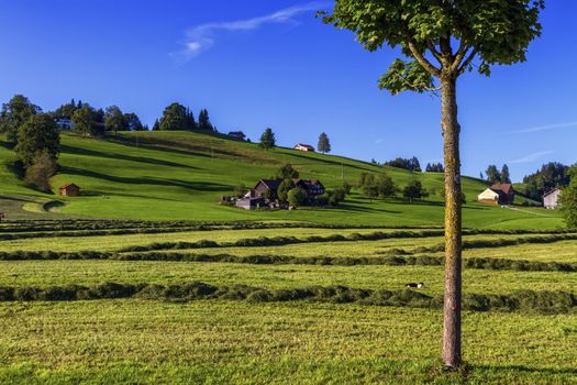 Appenzell hill landscape by beautiful day, Switzerland