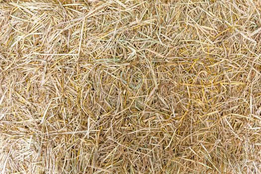 Texture of hay on ground.