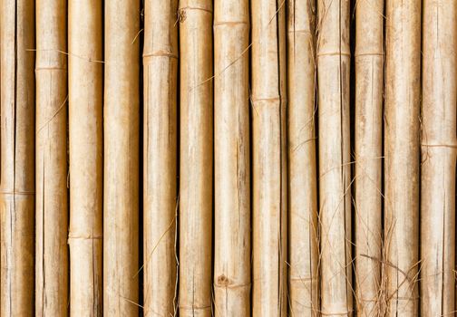 Dried bamboo texture and hay.