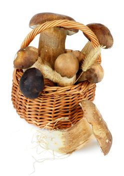 Heap of Fresh Raw Boletus Mushrooms with Dry Grass in Wicker Basket isolated on White background