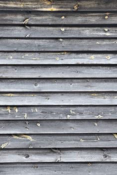 Wood Background Texture. Background of wooden planks