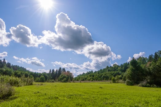 field of grass with woods and perfect blue sky with clouds and sun