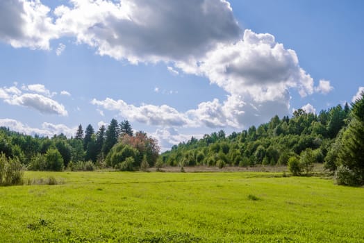 field of grass with woods and perfect blue sky with clouds