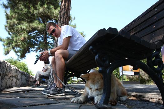 Lazy Akita Inu puppy cooling under bench in public park