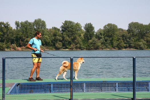 Akita Inu puppy with its owner standing by the river