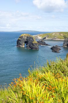 beautiful views of the virgin rocks with tall grass and flowers on the wild atlantic way