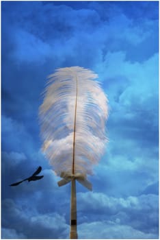 cloudy blue background with a white feather and bird flying