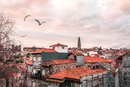 Porto, the beautiful city on the north of Portugal