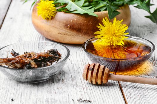 Therapeutic components of dandelion roots and honey syrup