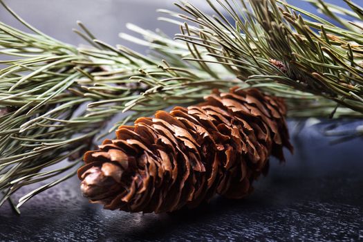 Pine cones on wooden background. Selective focus