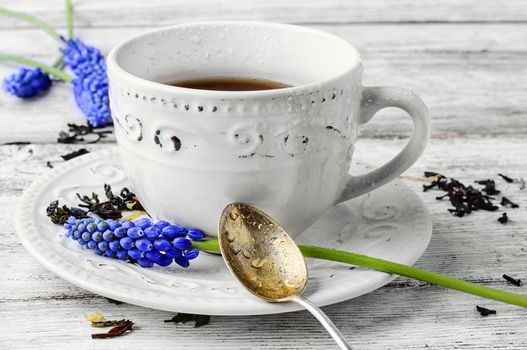 Stylish ceramic tea cup and blossoming twigs hyacinth