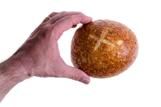 Clean male hand gently holding a freshly baked sourdough bread roll or round bun between finger and thumb isolated on a white background