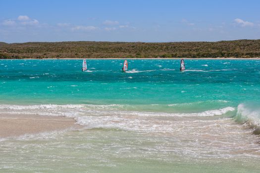 Windsurfers playing in the waves