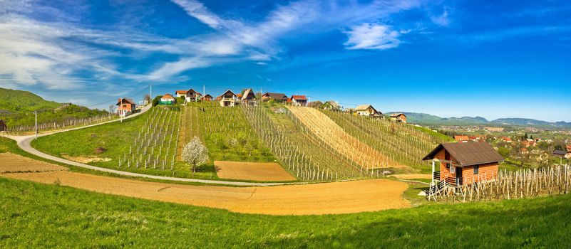 Hillside vineyards and cottages of Zagorje region, northern Croatia