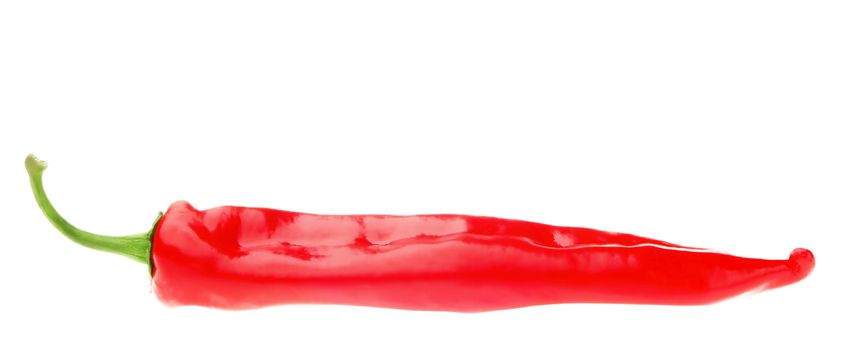 Long Red Chili Pepper. Isolates on white background.