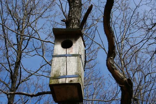 Owl nesting box