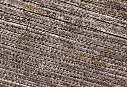 Closeup of old cracked wood for texture or background