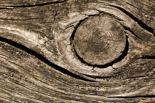 Closeup of old cracked wood for texture or background