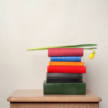 Flower narcissus on the stack of books standing on the table