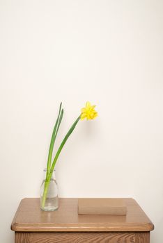 Yellow narcissus in vase and a book on the table