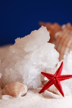 Pieces of genuine salt from Dead Sea on sand near starfish