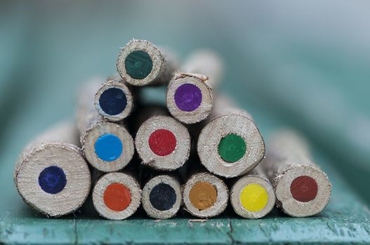 Close-up of crayons made of tree branches