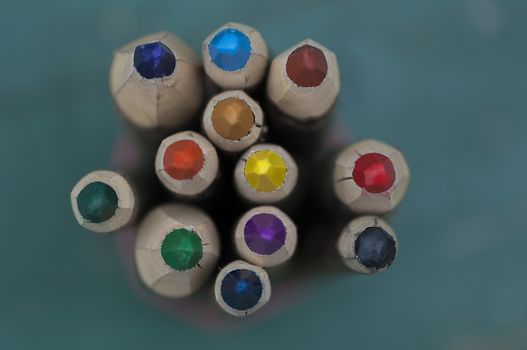 Close-up of crayons made of tree branches