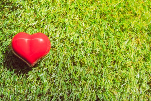 closeup of a red heart on the grass, art background