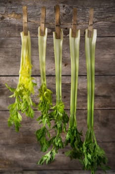 Product of the garden, fresh celery ready for use in the kitchen