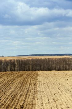   an agricultural field, which made planting wheat seeds of a new crop of grain