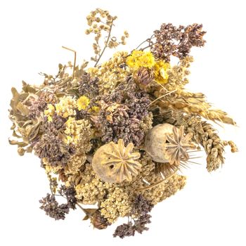 bouquet of dried flowers, beautiful background for your concept or project