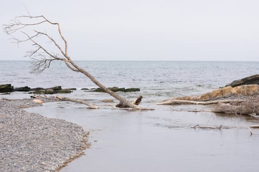  Sukko Mouth of the river where it flows into the Black Sea