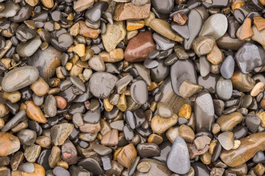 Background texture of wet sea pebbles of medium size