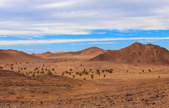 Beautiful Moroccan landscape, Sahara desert, desert landscape