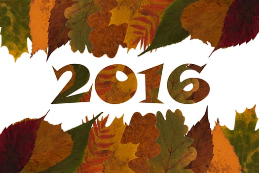 Happy New Year 2016 inscription with leaves