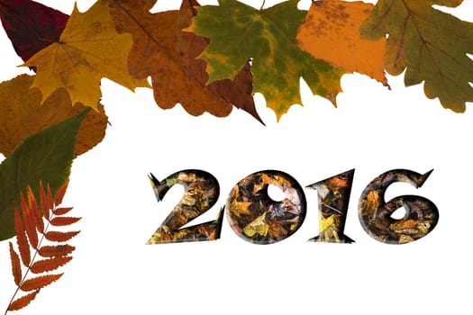 Happy New Year 2016 inscription with leaves