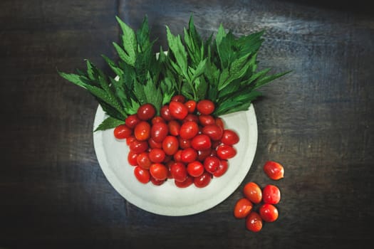 Small tomatoes and green vegetable on rustic black wooden background.