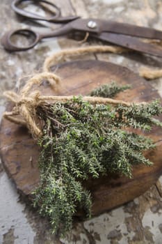 Product of the garden, bunch of thyme essential for the Mediterranean cuisine