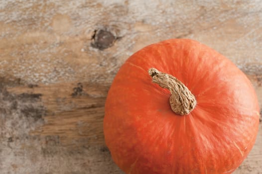 Fresh whole autumn pumpkin on a rustic wood background viewed from above in the lower left corner with copy space