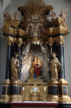Madonna with child Jesus, altar in the Neumünster Collegiate Church in Wurzburg, Germany