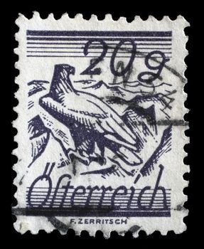 Stamp printed by Austria, shows White Shouldered Eagle, circa 1925