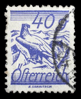 Stamp printed by Austria, shows White Shouldered Eagle, circa 1925