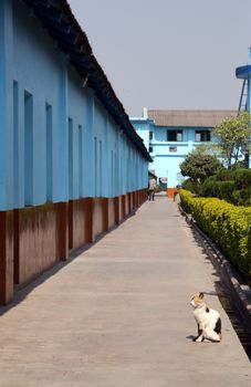 Gandhiji Prem Nivas( Leprosy centre), one of the houses established by Mother Teresa and run by the Missionaries of Charity in Titagarh, India