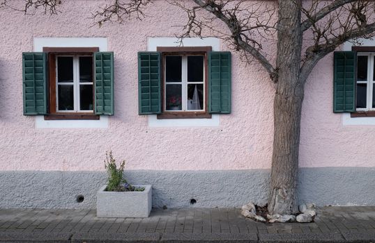 The tree grows next to the house in Hallstatt, Austria.