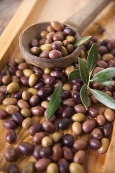 Aperitif with mixed olives in brine of Tuscany Italy