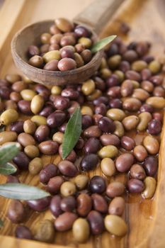 Aperitif with mixed olives in brine of Tuscany Italy